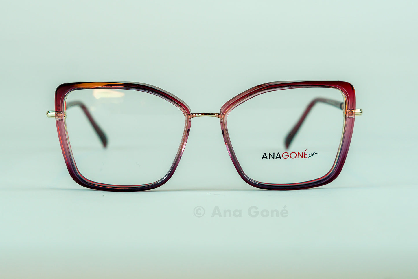 Aro Optico AG G8102 C3