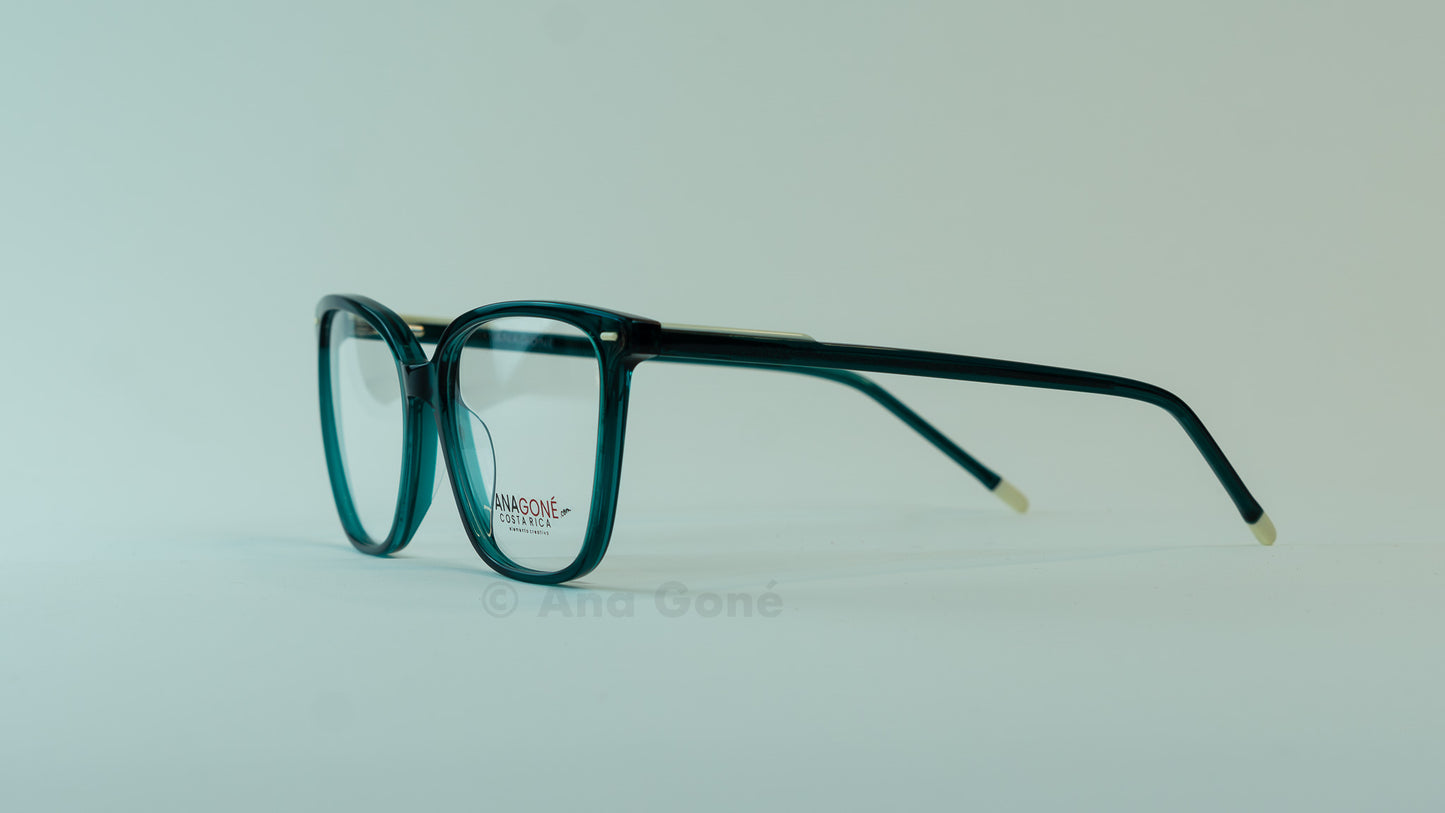 ARO OPTICO PL8027C2