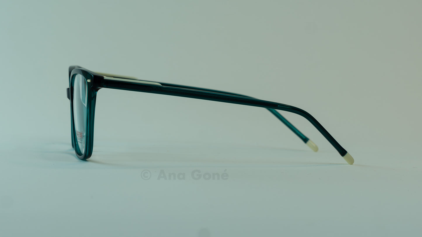 ARO OPTICO PL8027C2