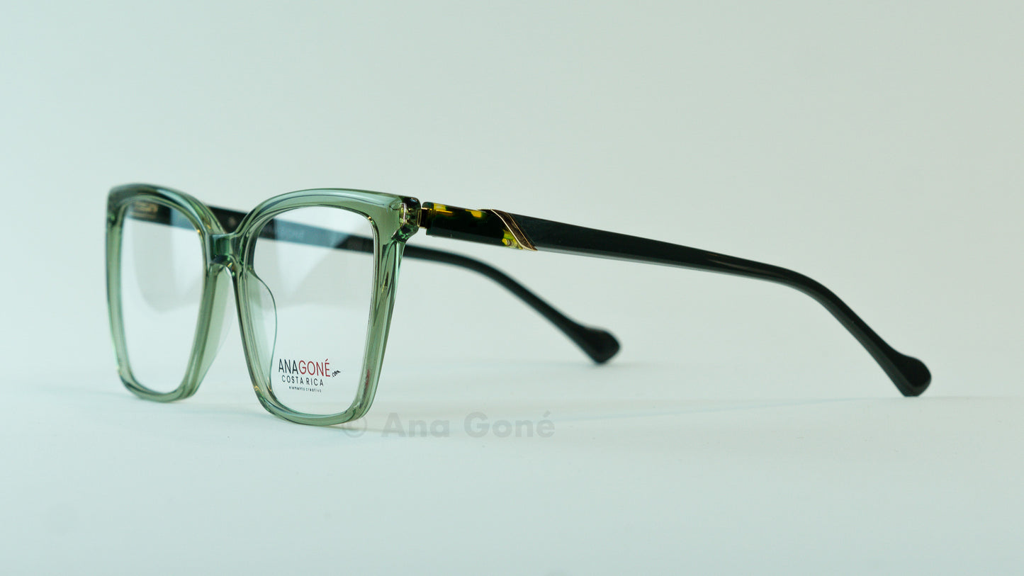 ARO OPTICO A25931C4