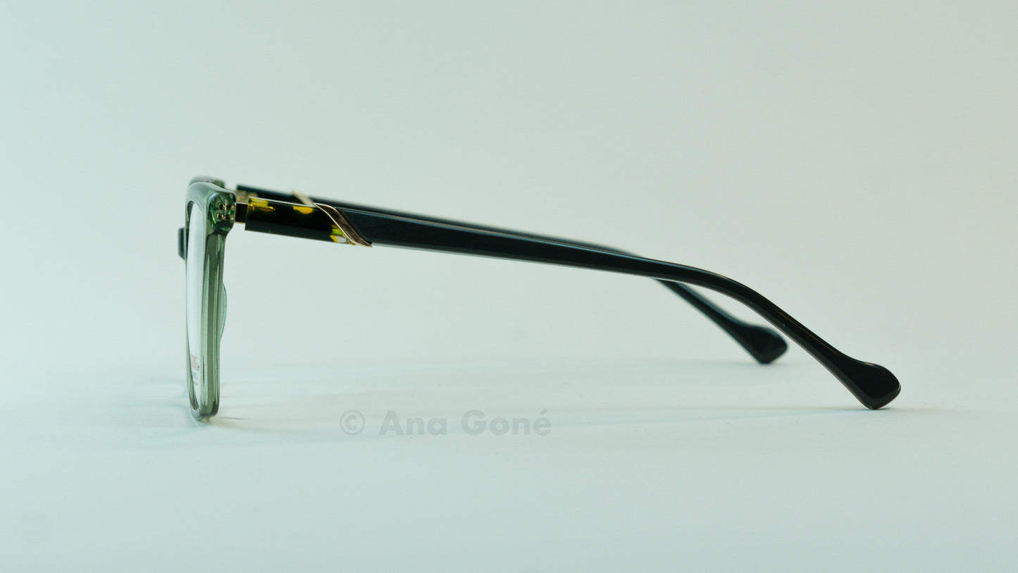 ARO OPTICO A25931C4