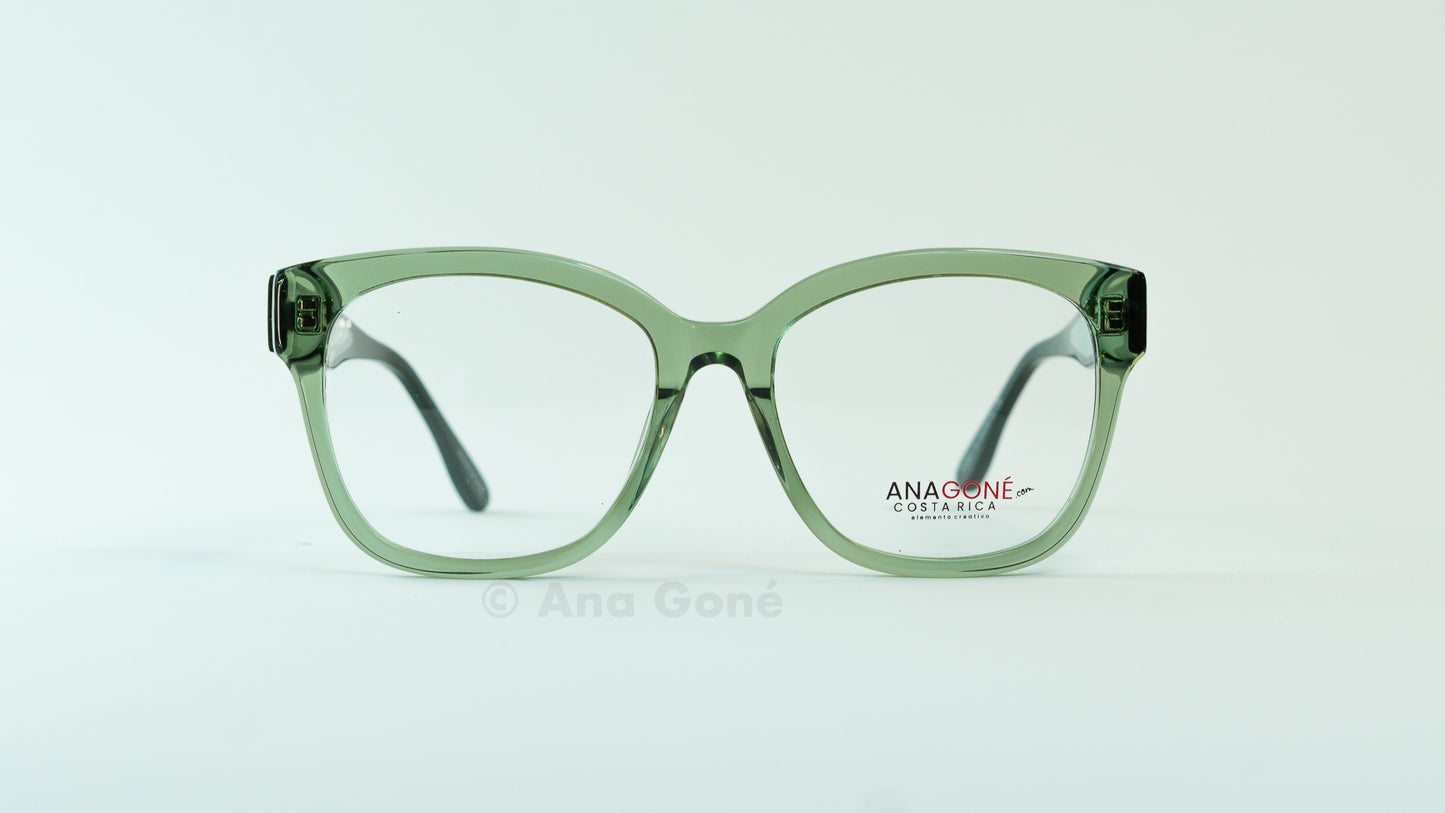 ARO OPTICO PL8021C4