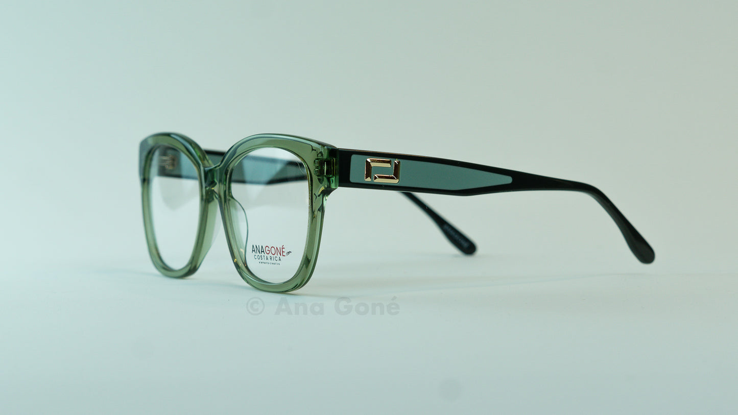 ARO OPTICO PL8021C4