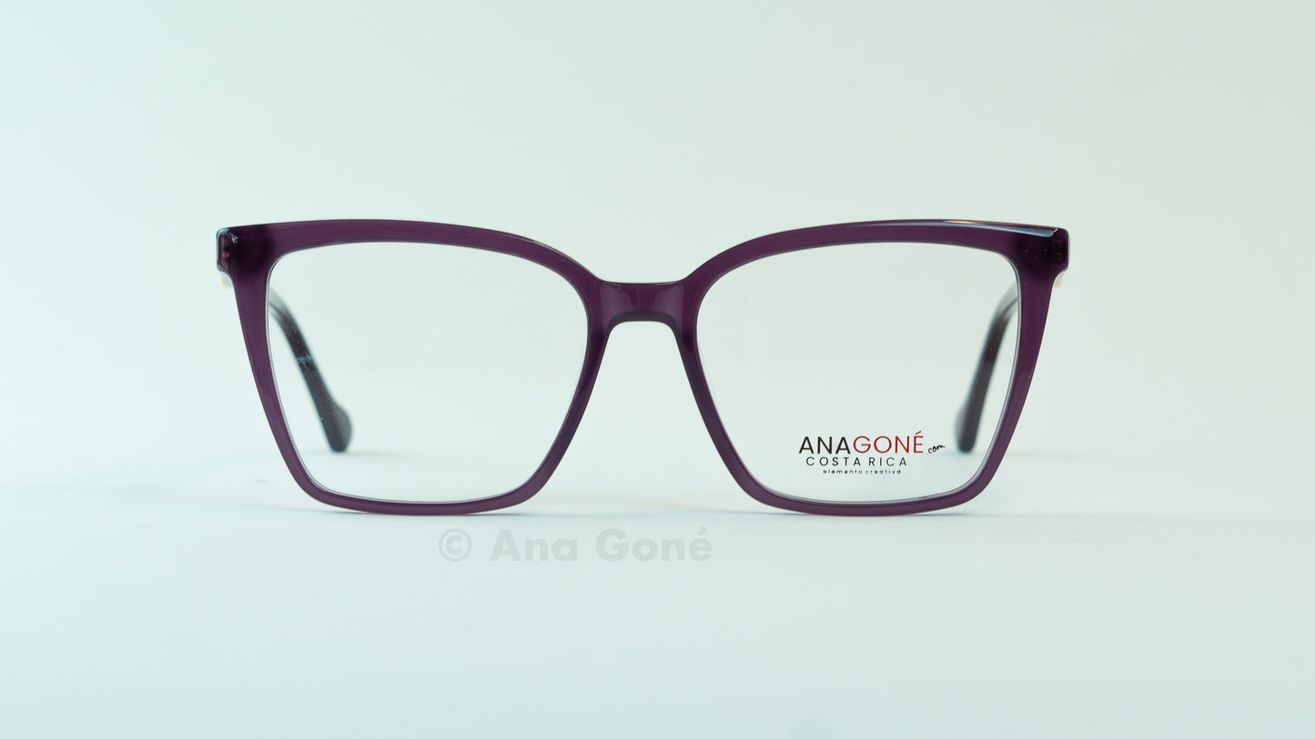 ARO OPTICO A25931C3