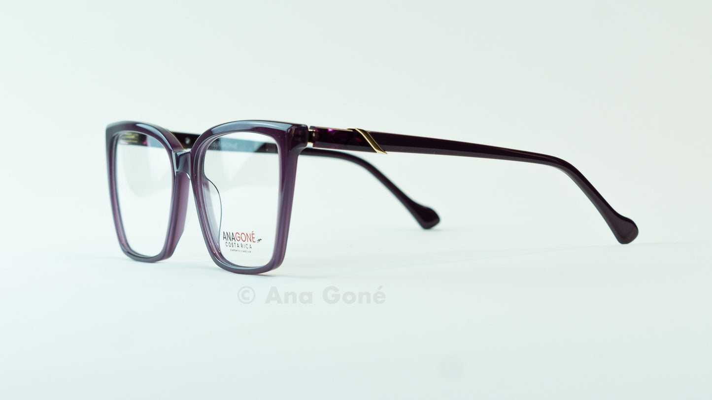 ARO OPTICO A25931C3