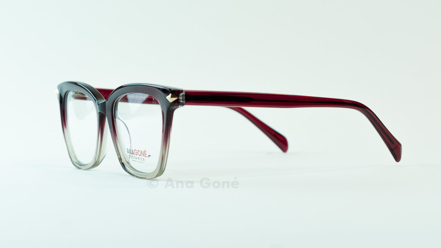 ARO OPTICO A24311C4