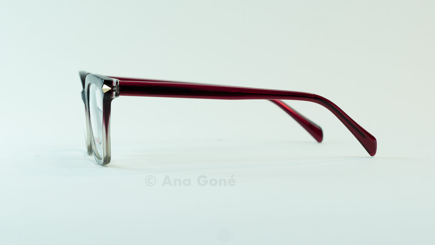 ARO OPTICO A24311C4