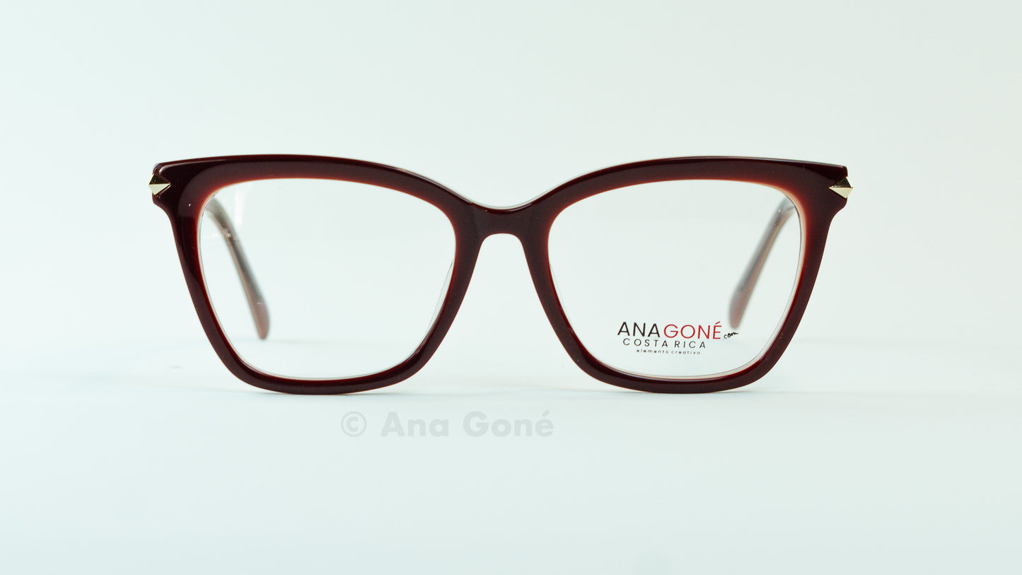 ARO OPTICO A25311C2